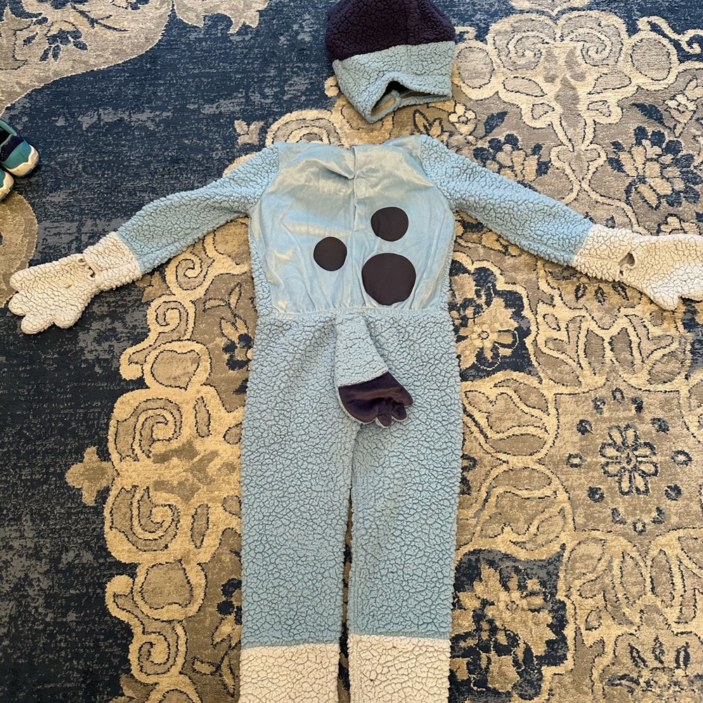 Bluey Costume for 5/6 year old - Picture 3 of 6